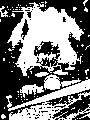 Percussion