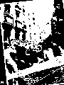 San Fermin
