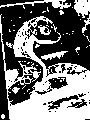 Année du serpent