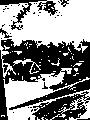Paysage d'hiver